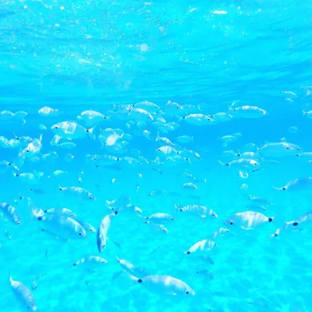 Feriehus Giulia Vacation Ever Cagliari